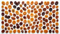 Assorted coffee beans and dried apricots arranged in organized rows on white background, isolated for culinary and food design projects.