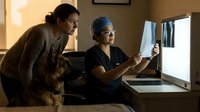 Female veterinarian examining dog x-ray with pet owner in modern clinic consultation room for animal healthcare and diagnostic services.