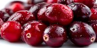 Fresh cranberries with water droplets on white background, showcasing vibrant red color and natural texture for food photography.