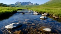 Tranquil mountain stream with large white boulders flowing through green meadow, snow-capped peaks in background, clear water reflecting summer sunlight.