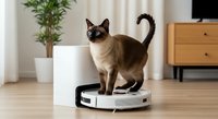 Siamese cat standing on robotic vacuum cleaner in modern living room with wooden furniture and potted plant, home automation technology.