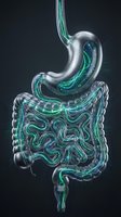 Futuristic neon glowing digestive system with glowing green and blue light tubes on dark background, suitable for medical, healthcare, and scientific illustrations.