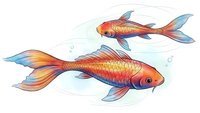 Two colorful koi fish swimming with flowing fins in watercolor style, aquatic life illustration for decorative design projects and Asian-inspired artwork.