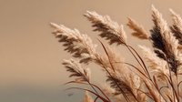 Dried pampas grass plumes swaying in gentle breeze against soft beige background, creating serene natural atmosphere for home decor.