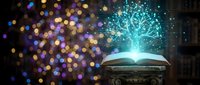 Open book with glowing magical light bursting upward, surrounded by colorful bokeh particles. Represents knowledge, education, learning, wisdom, and imagination for educational content.