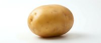 Single raw potato with light brown skin isolated on white background, suitable for food, cooking, nutrition, and grocery retail applications.