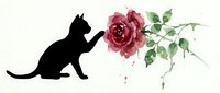 Cat silhouette playing with red rose flower and green leaves on white background, isolated design element for t-shirts and clipart.