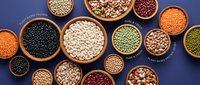Assorted legumes and beans in wooden bowls on blue background. Variety of lentils, chickpeas, kidney beans and pulses for healthy cooking and nutrition.