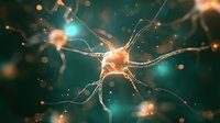 Glowing neuron cell with synaptic connections on turquoise background showing neural network activity and electrical impulses in brain tissue. Medical science concept.