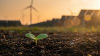 Young green plant seedling growing in fertile soil with wind turbines and solar panels in background during golden hour sunrise representing sustainable energy.