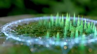 Microscopic green bacterial colony growing in petri dish with selective focus and bokeh effect, showing scientific research in microbiology laboratory setting.
