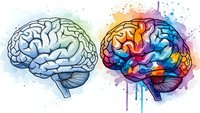Two human brains side by side showing contrast between logical thinking and creative imagination with colorful watercolor splashes and paint drips.