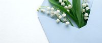 Delicate lily of the valley flowers with green leaves arranged on soft blue envelope against white background for spring greeting cards and floral designs.