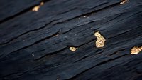 Dark textured slate stone surface with natural golden mineral deposits creating organic pattern and contrast against rough black background.