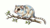 Sugar glider perched on leafy branch, isolated on white background. Suitable for wildlife education, children's books, nature illustrations, and design projects.
