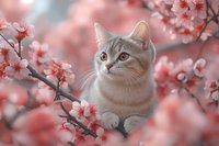 White cat with blue eyes surrounded by blooming pink cherry blossoms in spring garden, creating dreamy romantic atmosphere against soft blurred background.