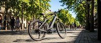 Hybrid bicycle parked on tree-lined urban street with cobblestone pavement, suitable for cycling, transportation, and lifestyle content.