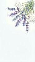 Watercolor lavender flowers with green stems and delicate white baby's breath on isolated white background, ready for design projects, invitations, and botanical artwork.