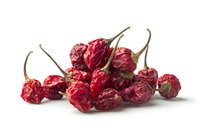Dried red chili peppers with stems on white background, macro shot showing texture and natural wrinkles of dehydrated hot peppers for cooking and seasoning.