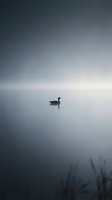 Lone duck swimming in misty lake at dawn with soft gray sky and calm water creating peaceful minimalist nature scene for meditation and tranquility concepts.