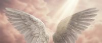 Pair of white feathered wings spread wide against soft pink and cream clouds, symbolizing spirituality, freedom, and divine protection for religious and wellness content.