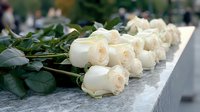 Delicate cream white roses lying in row on stone ledge with green leaves, creating romantic memorial or wedding ceremony atmosphere. Soft focus background.