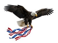 Bald eagle in flight clutching American flag ribbon, isolated on white background. Patriotic symbol for independence day, freedom, and national pride designs.