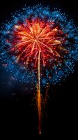 Spectacular red and blue firework explosion against dark night sky, with golden sparks trailing upward and starburst pattern creating festive celebration atmosphere.