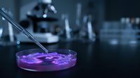 Laboratory scientist using pipette to drop purple chemical solution into petri dish during research experiment in modern lab facility.