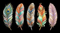 Decorative feathers with ornamental patterns isolated on transparent background, ready for t-shirt design, clipart, stickers, sublimation and print-on-demand projects.