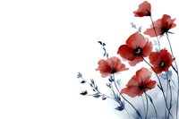 Red poppy flowers with delicate stems on white background, botanical floral design for greeting cards, wedding invitations and spring decorations.