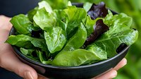 Fresh mixed lettuce leaves in dark bowl, close up view of green and purple salad greens. Healthy organic vegetables for nutritious eating.