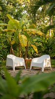 Two white plastic chairs in tropical garden setting with banana plants and palm trees for outdoor relaxation and vacation lifestyle concepts.