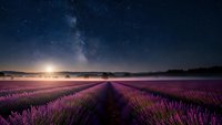 Lavender field under starry night sky with Milky Way galaxy and moonlight illuminating purple flower rows in peaceful countryside landscape.