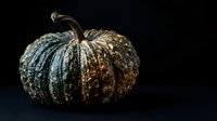 Textured pumpkin with weathered surface and dried stem isolated on black background, suitable for autumn harvest designs and seasonal marketing materials.