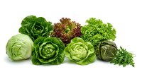 Assorted fresh lettuce and leafy greens including romaine, butterhead, and red leaf varieties isolated on white background for culinary and healthy eating design projects.