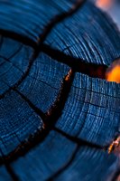 Charred wood surface with deep cracks and blue tones from fire damage. Natural texture showing burned timber with dramatic lighting and organic patterns.