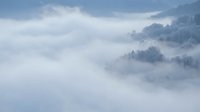 Misty mountain landscape with dense fog rolling through forested hills creating ethereal atmospheric layers and dreamy natural scenery for meditation content.