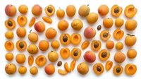 Apricots whole and halved with pits isolated on white background, suitable for food packaging, recipe blogs, and culinary design projects.