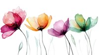 Delicate watercolor poppies in pink, yellow, purple and green with thin black stems on white background, transparent floral art suitable for wall decor and stationery.
