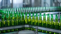 Multiple green beer bottles filled with golden liquid arranged in rows on industrial conveyor belt system in beverage production facility.