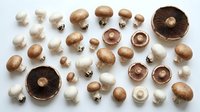 Whole and sliced mushrooms arranged flat lay on white background, including button, cremini, and portobello varieties for culinary and food styling use.