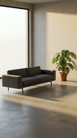 Minimalist interior with dark gray sofa, potted green plant, and large window casting natural light on concrete floor in modern living space.