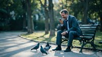Middle-aged Caucasian businessman in suit sitting on park bench feeding pigeons during lunch break, urban wildlife interaction in peaceful city setting.