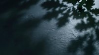 Shadow of green leaves cast on dark textured surface, creating natural pattern for botanical, nature, and design backgrounds.