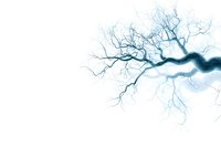 Lightning bolt branching pattern in blue and white against clean background, resembling electrical discharge or neural network connections. Suitable for technology concepts.