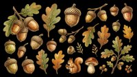 Acorns, oak leaves, and mushrooms isolated on transparent background. Ready for t-shirt design, clipart, stickers, sublimation, and print-on-demand projects.