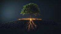 Glowing tree roots illuminate dark soil beneath green canopy, symbolizing life force and growth. Mystical nature concept on black background shows connection between earth and life.