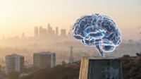 Digital brain hologram floating above urban cityscape at sunset with glowing neural networks and connections for technology and artificial intelligence concepts.