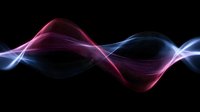 Glowing abstract waves in pink and blue colors flowing smoothly against black background create dynamic motion effect for modern technology designs.